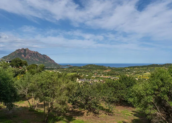 Apartment La Ginestra - Affitti Brevi Italia *